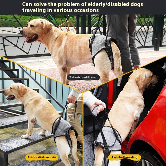 PawLift Mobility Harness