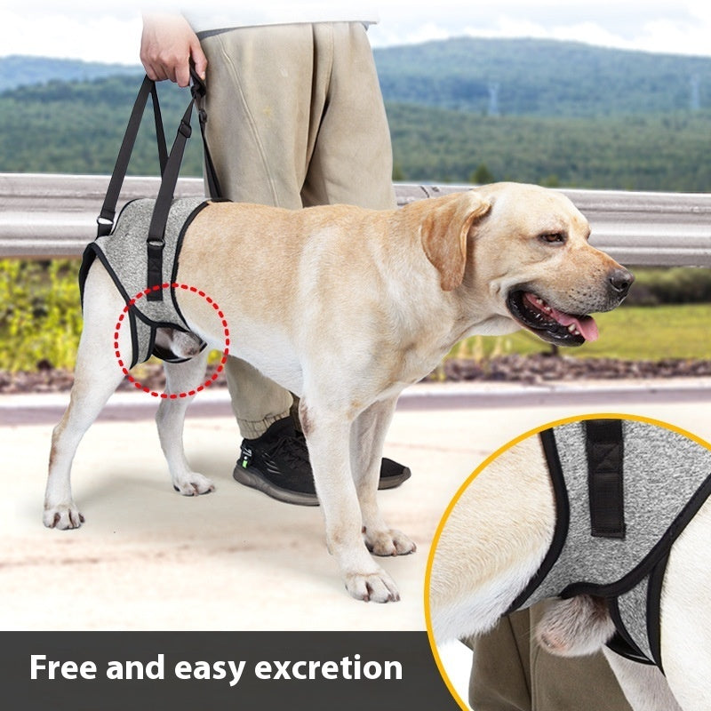 PawLift Mobility Harness